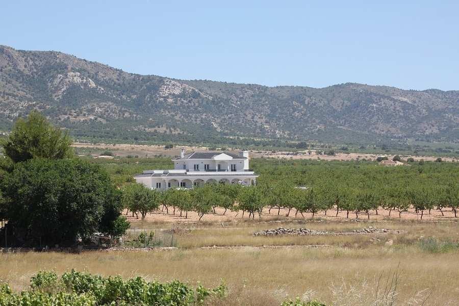 Villa Pinoso, Alicante, Spānijā 4 istabas, 245 m2 Nr. 135401