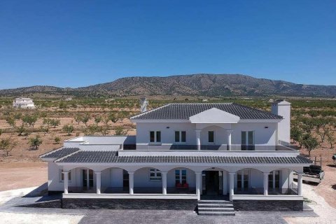 Villa Pinoso, Alicante, Spānijā 4 istabas, 245 m2 Nr. 135401