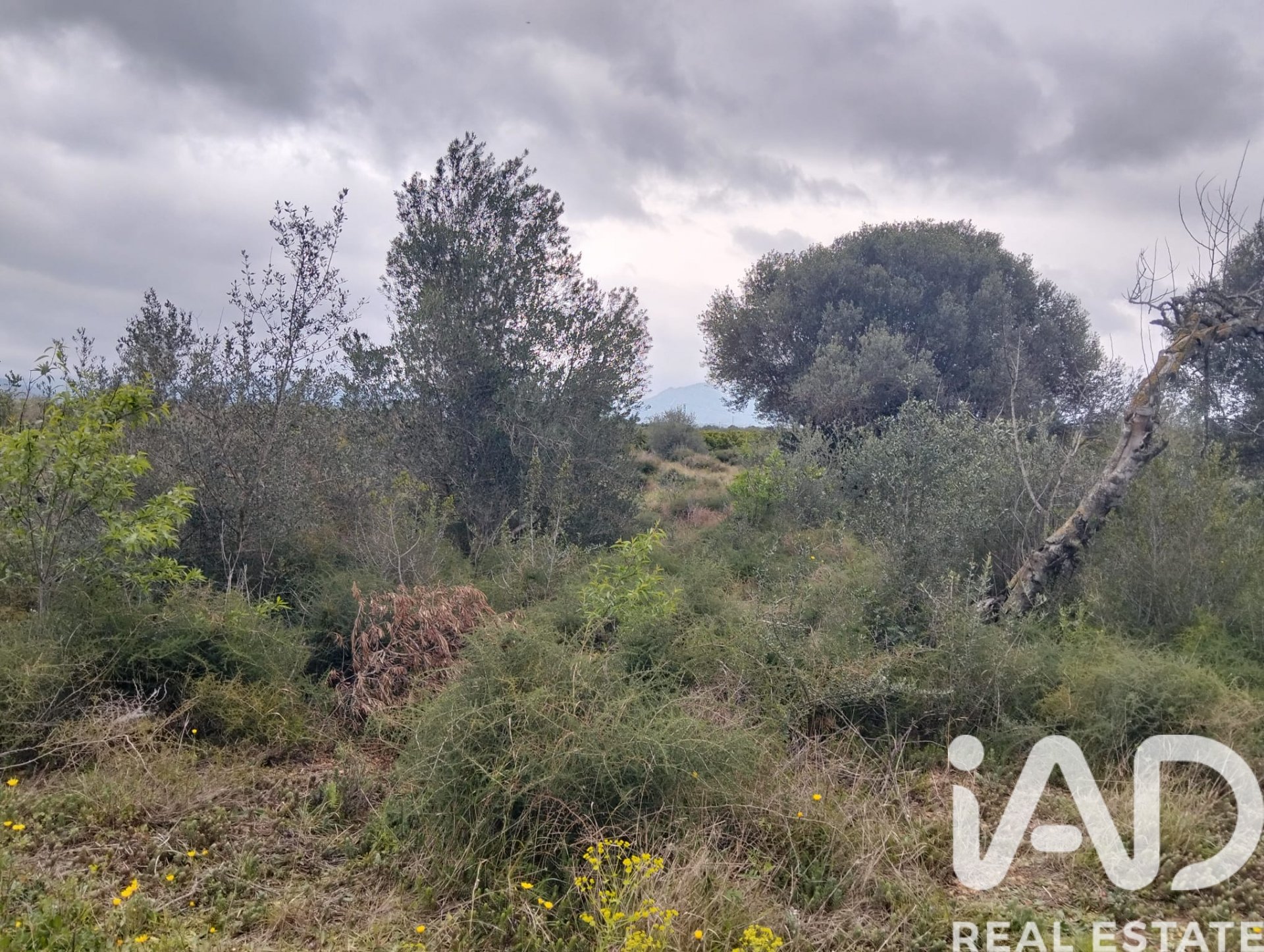 Land plot in Tivenys, Tarragona, Spain 2488 sq.m. No. 185392