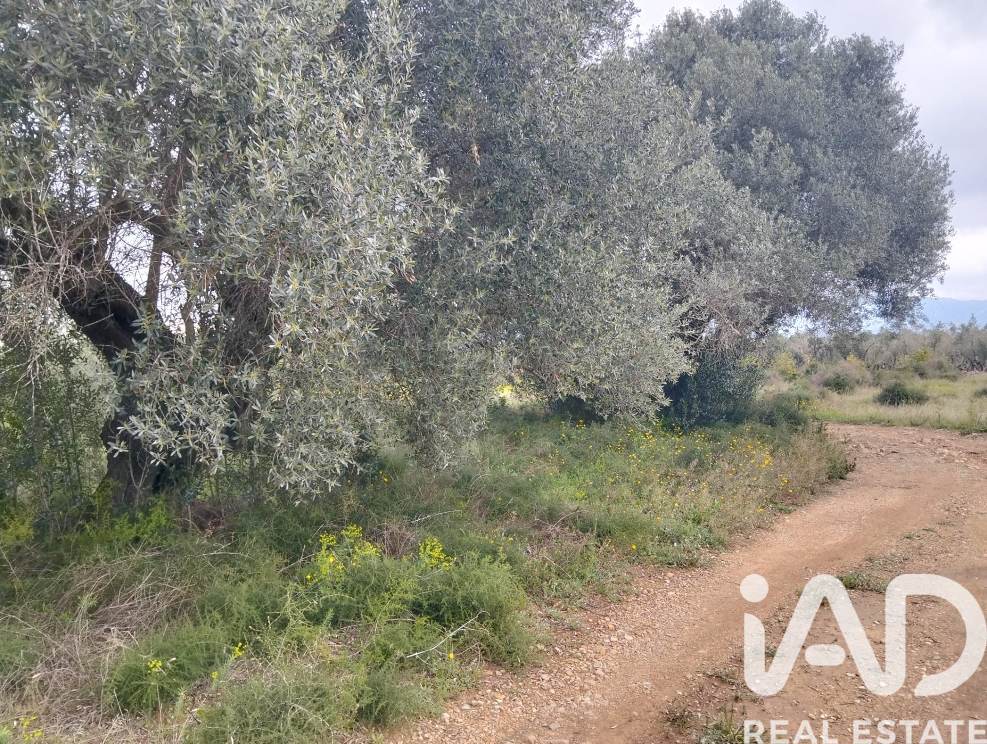 Land plot in Tivenys, Tarragona, Spain 2488 sq.m. No. 185392