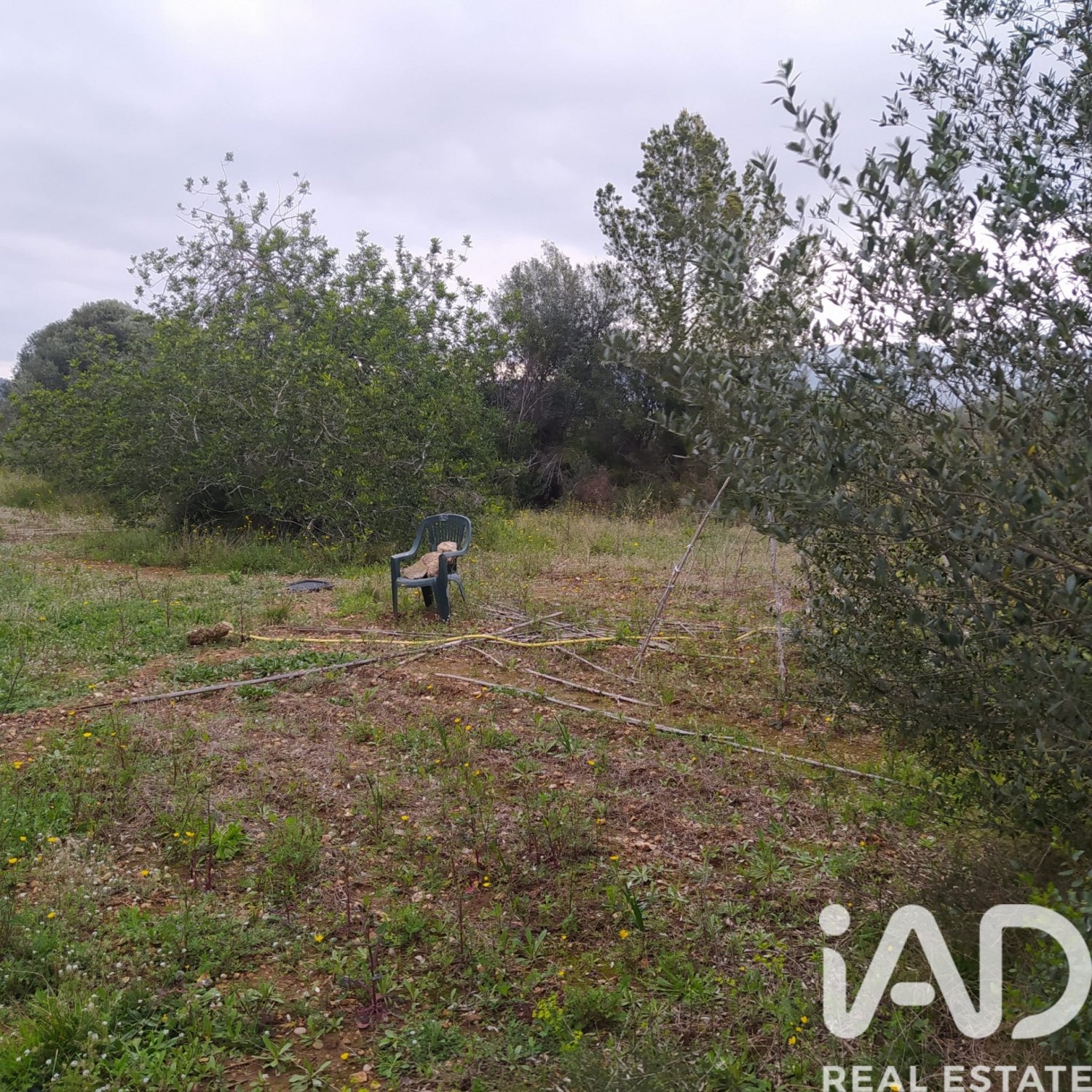 Land plot in Tivenys, Tarragona, Spain 2488 sq.m. No. 185392