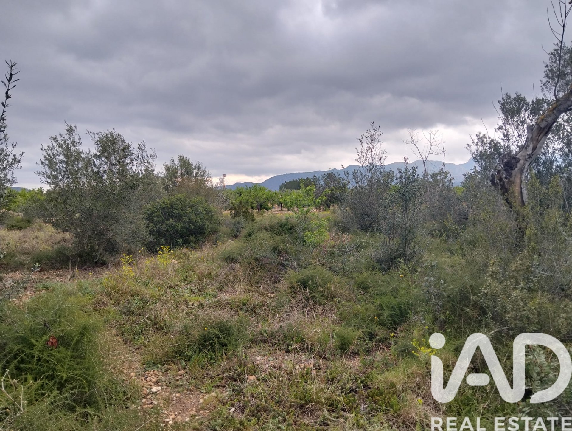 Land plot in Tivenys, Tarragona, Spain 2488 sq.m. No. 185392