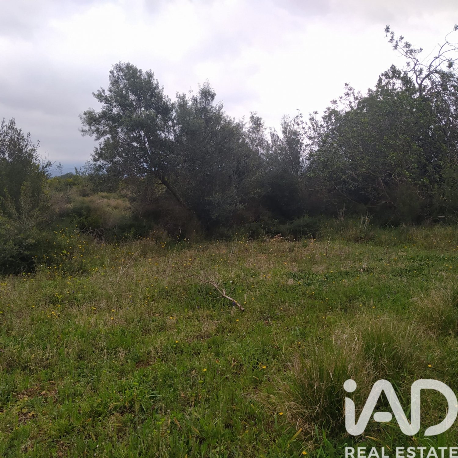 Land plot in Tivenys, Tarragona, Spain 2488 sq.m. No. 185392