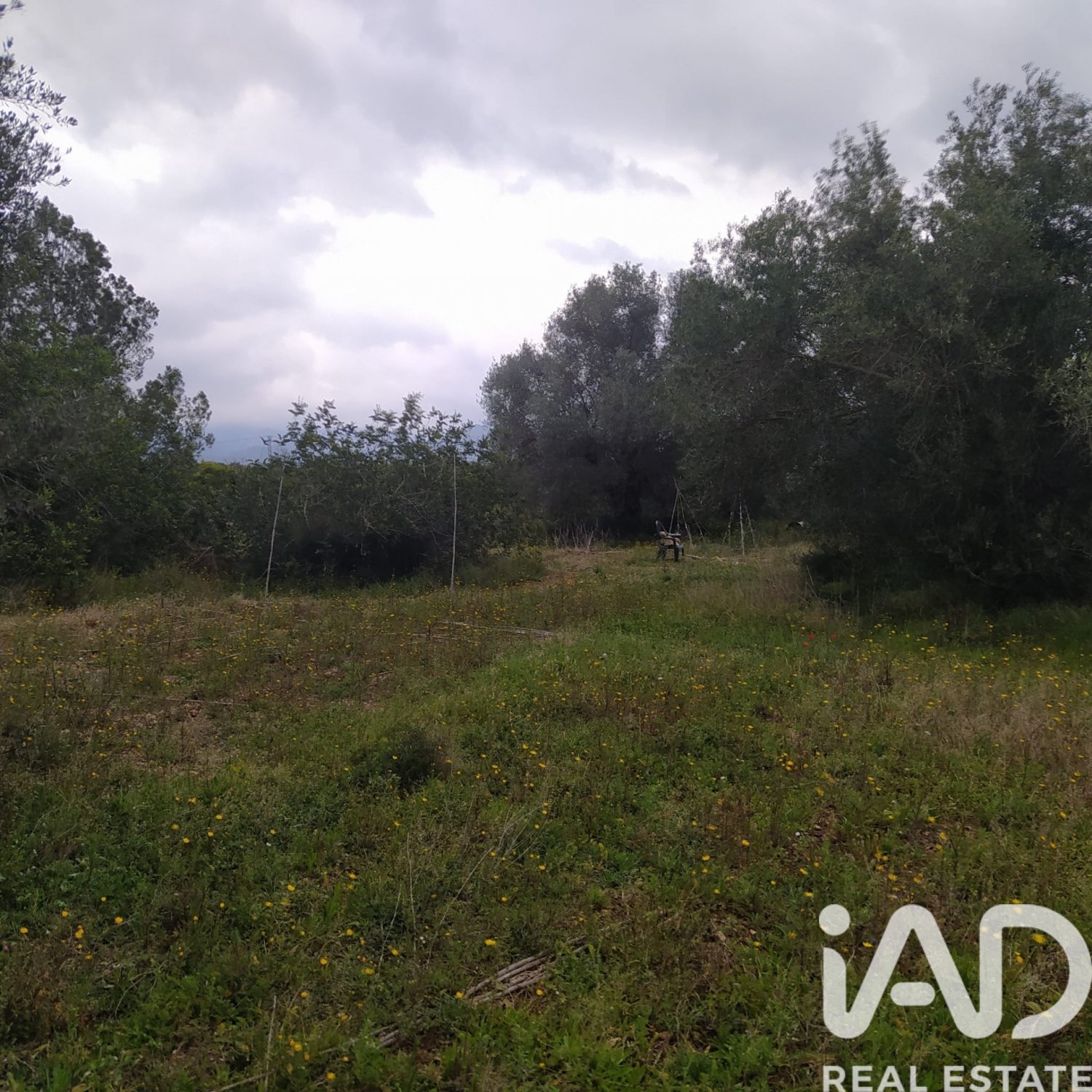 Land plot in Tivenys, Tarragona, Spain 2488 sq.m. No. 185392