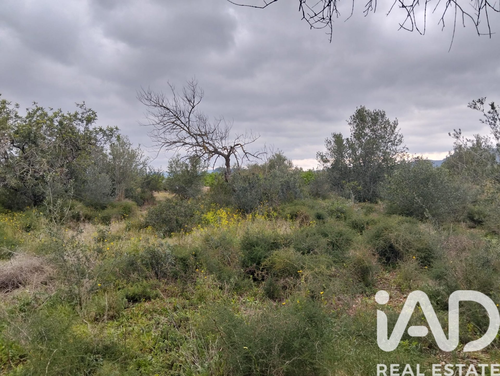 Land plot in Tivenys, Tarragona, Spain 2488 sq.m. No. 185392