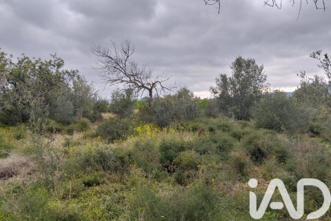Parcela en Tivenys, Tarragona, España 2488 m2 No. 185392