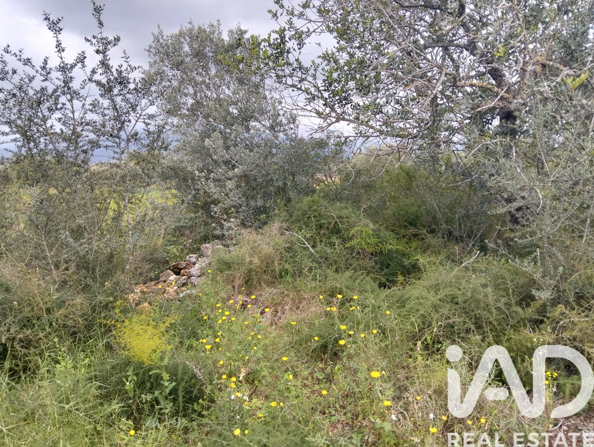 Land plot in Tivenys, Tarragona, Spain 2488 sq.m. No. 185392