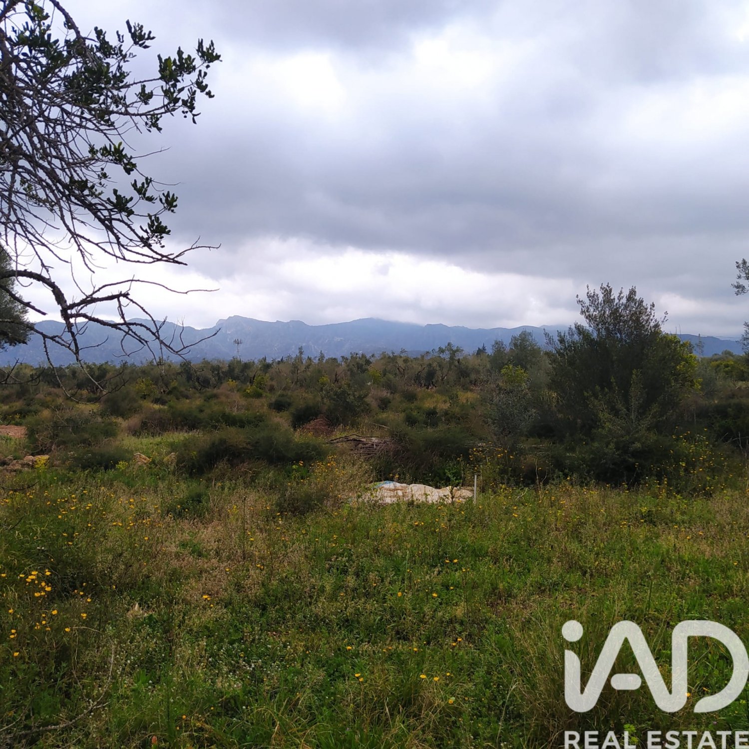 Land plot in Tivenys, Tarragona, Spain 2488 sq.m. No. 185392