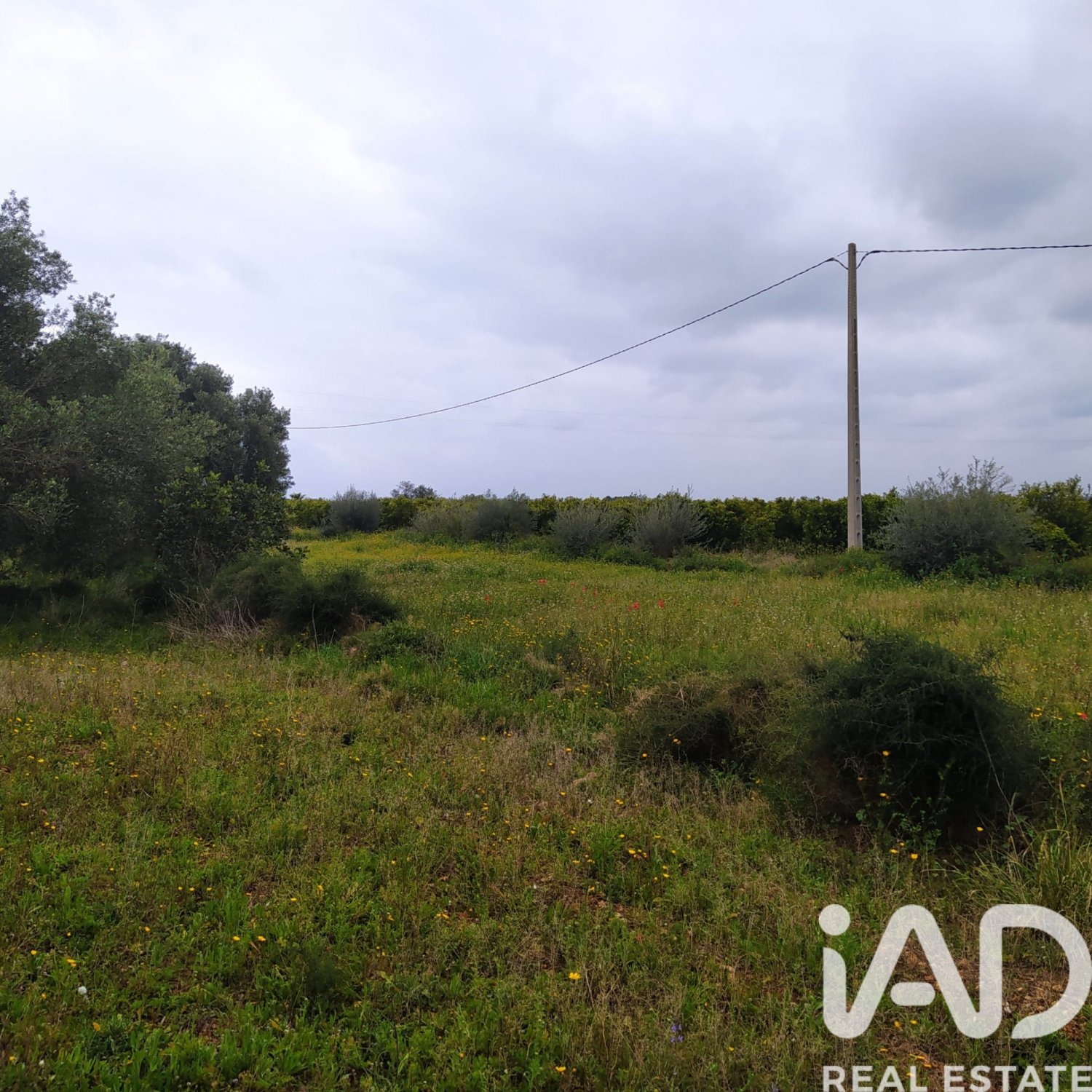 Land plot in Tivenys, Tarragona, Spain 2488 sq.m. No. 185392