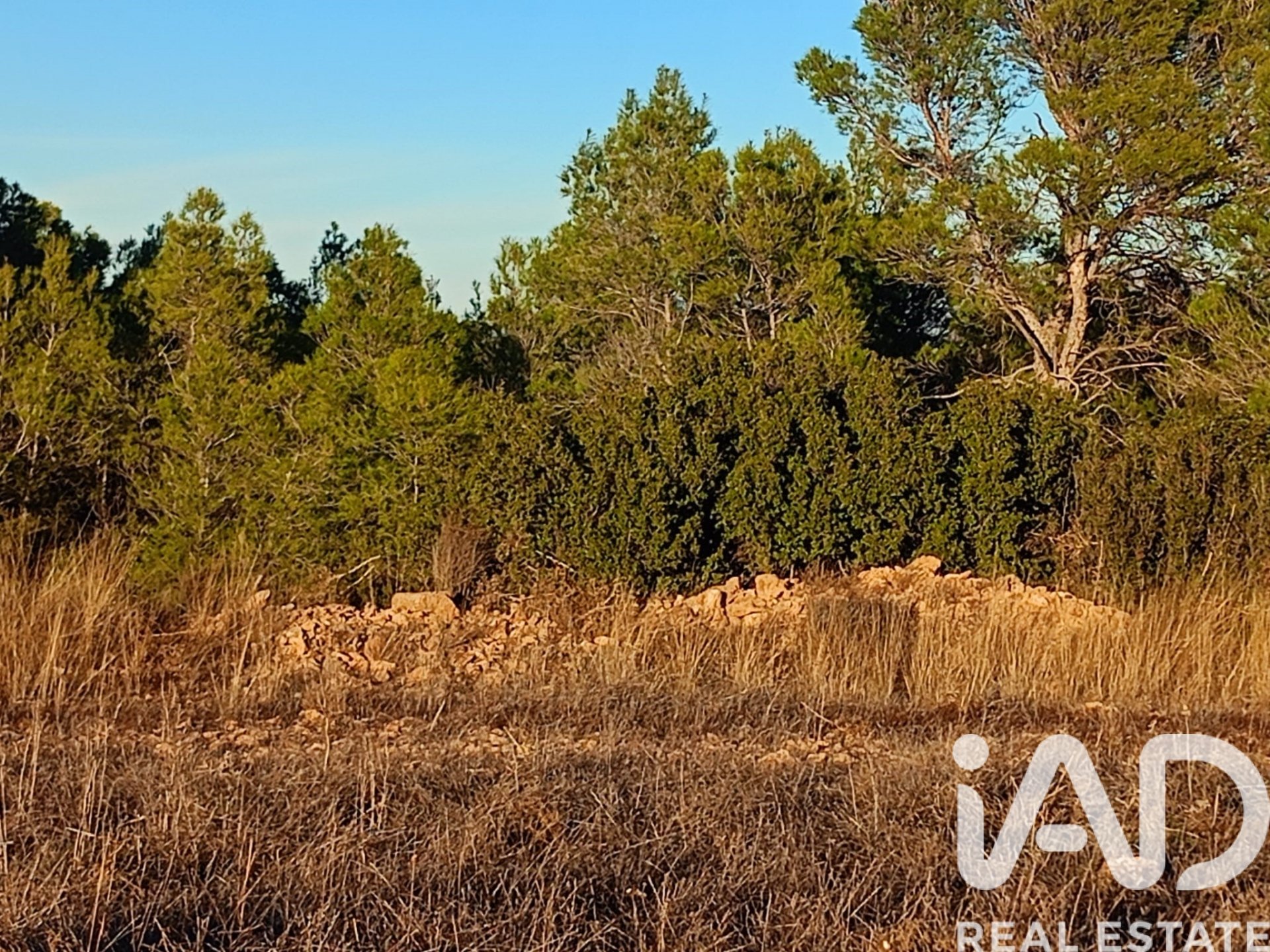 Land plot in Lorca, Murcia, Spain 170000 sq.m. No. 185386