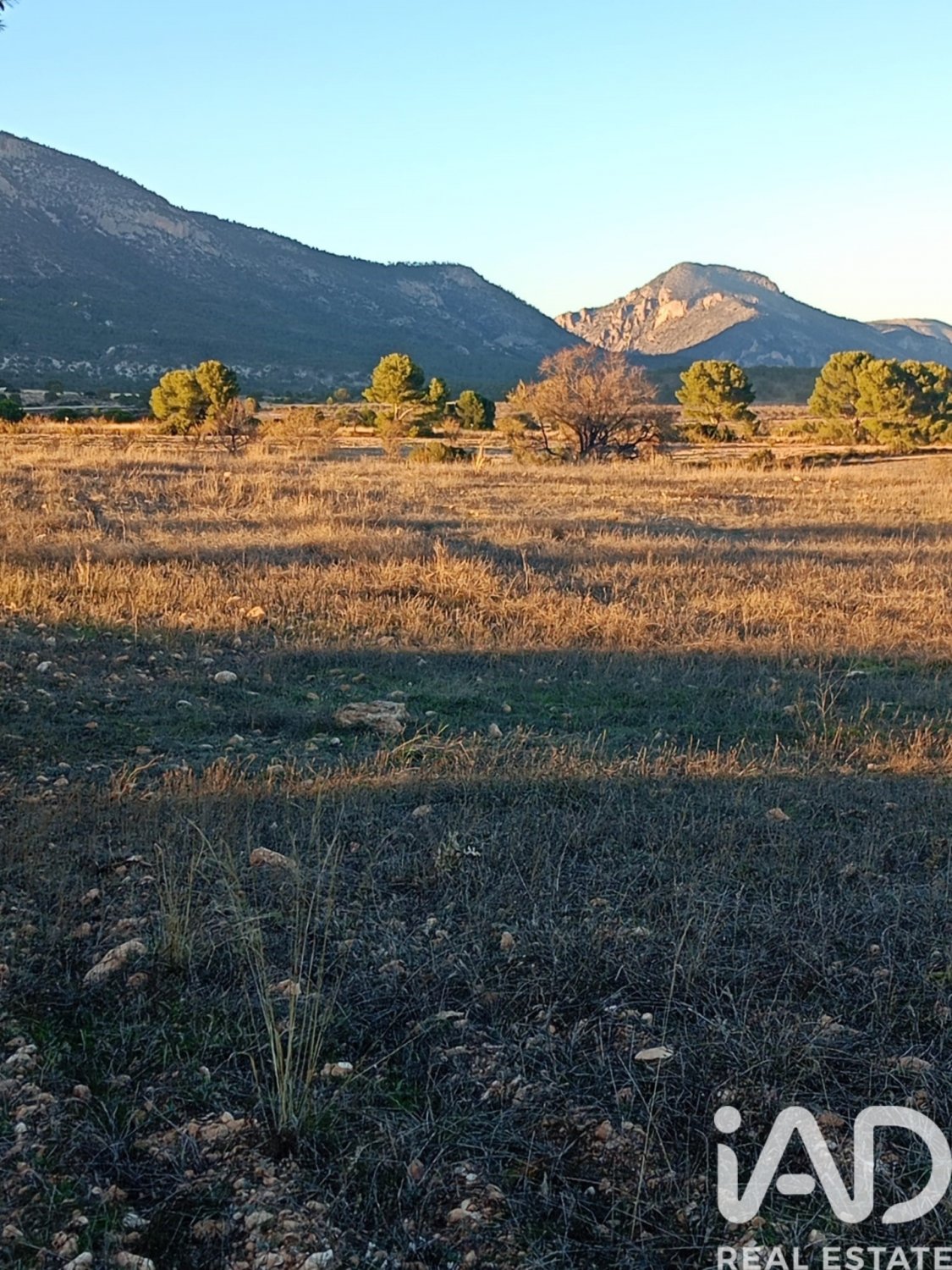 Land plot in Lorca, Murcia, Spain 170000 sq.m. No. 185386