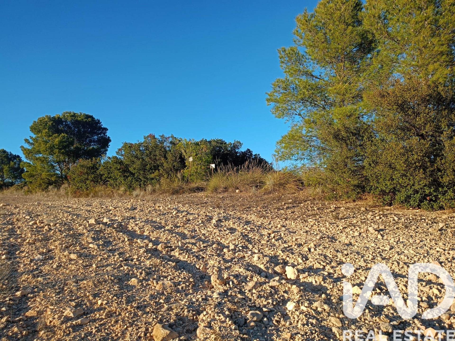 Land plot in Lorca, Murcia, Spain 170000 sq.m. No. 185386