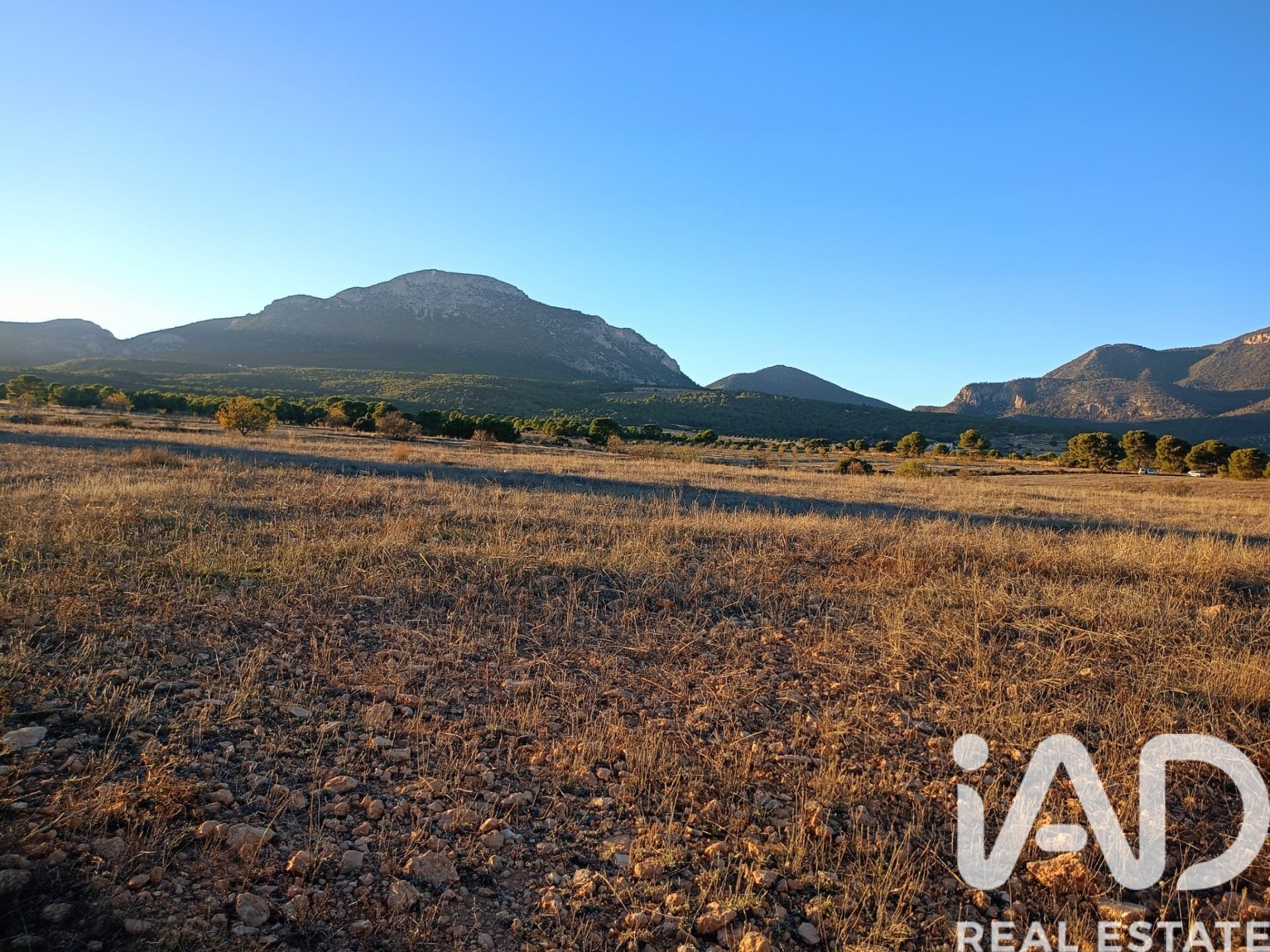 Land plot in Lorca, Murcia, Spain 170000 sq.m. No. 185386