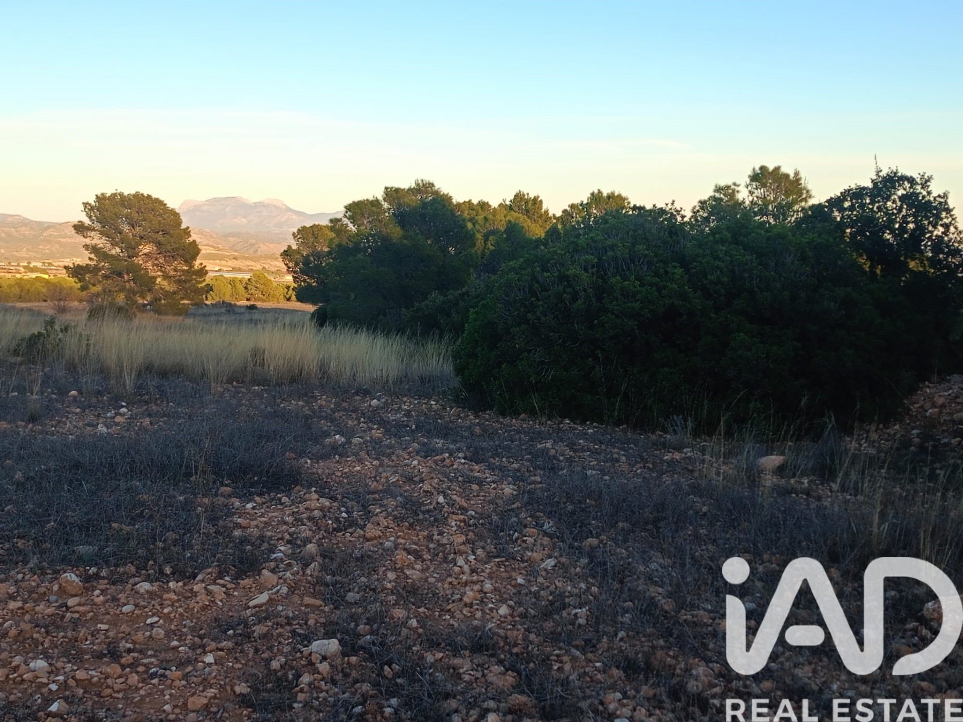 Land plot in Lorca, Murcia, Spain 170000 sq.m. No. 185386