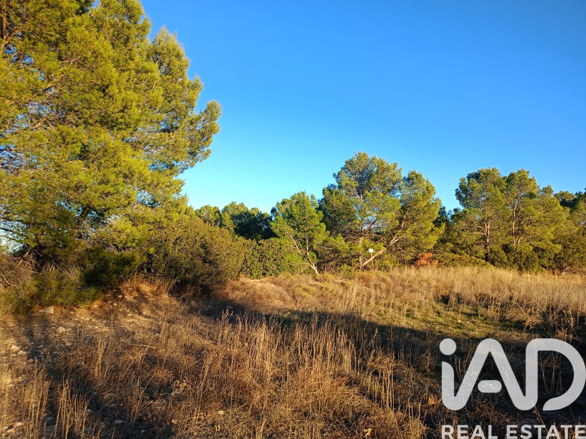 Land plot in Lorca, Murcia, Spain 170000 sq.m. No. 185386