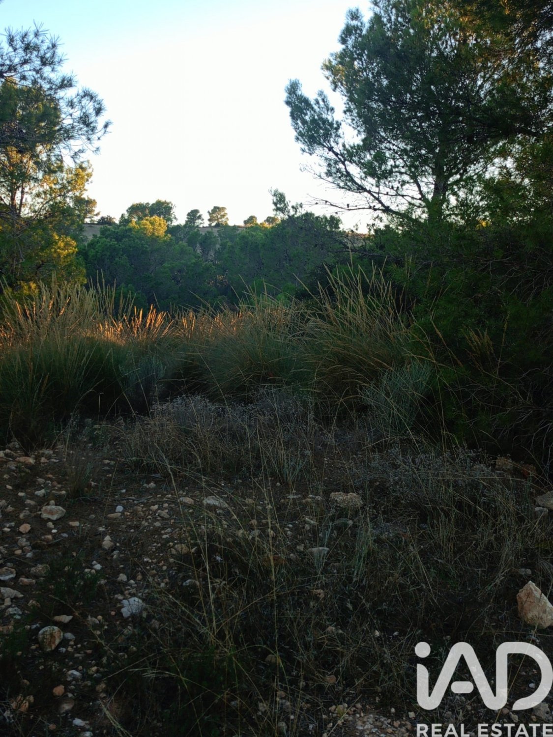 Land plot in Lorca, Murcia, Spain 170000 sq.m. No. 185386