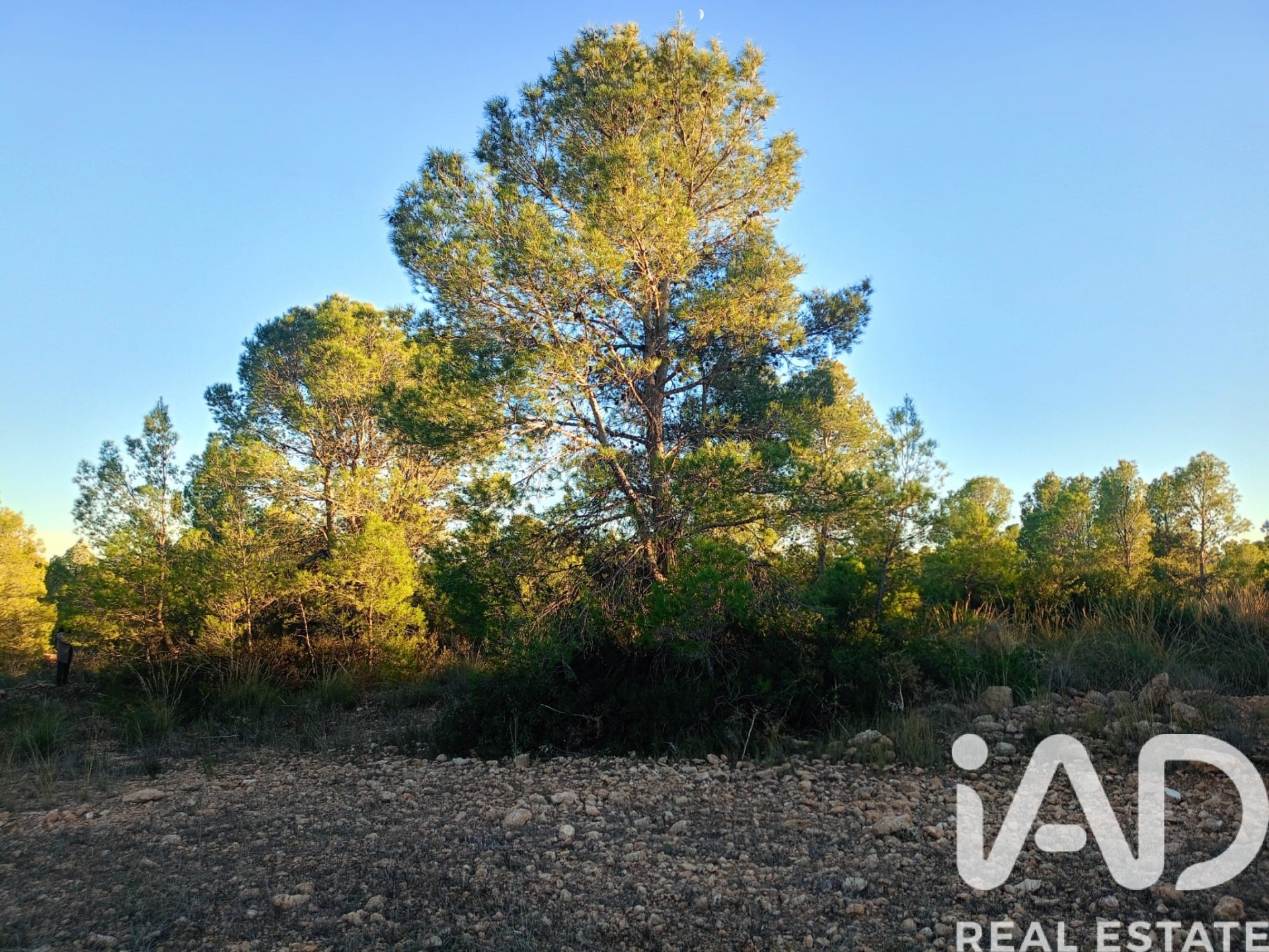 Land plot in Lorca, Murcia, Spain 170000 sq.m. No. 185386