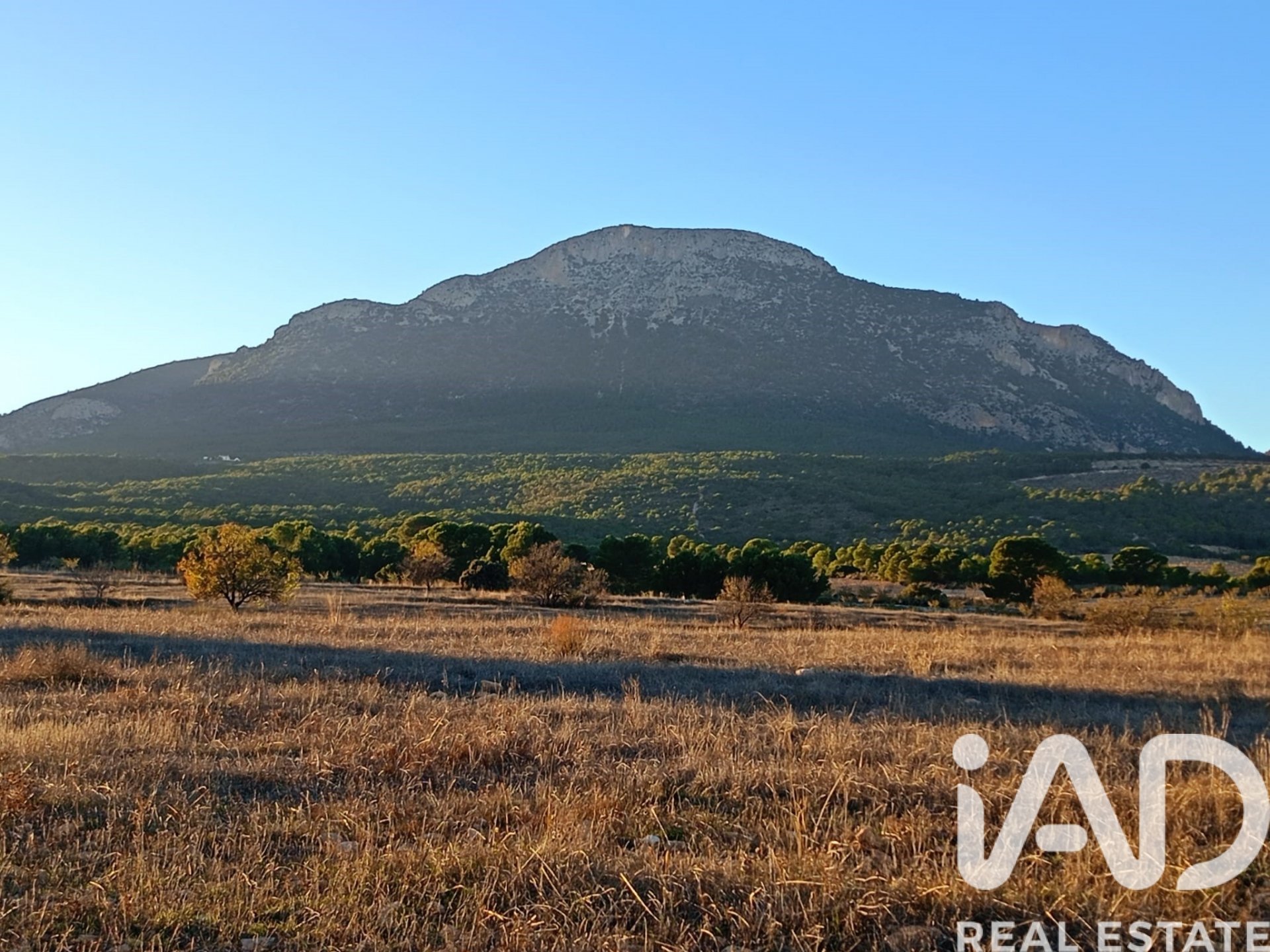 Land plot in Lorca, Murcia, Spain 170000 sq.m. No. 185386