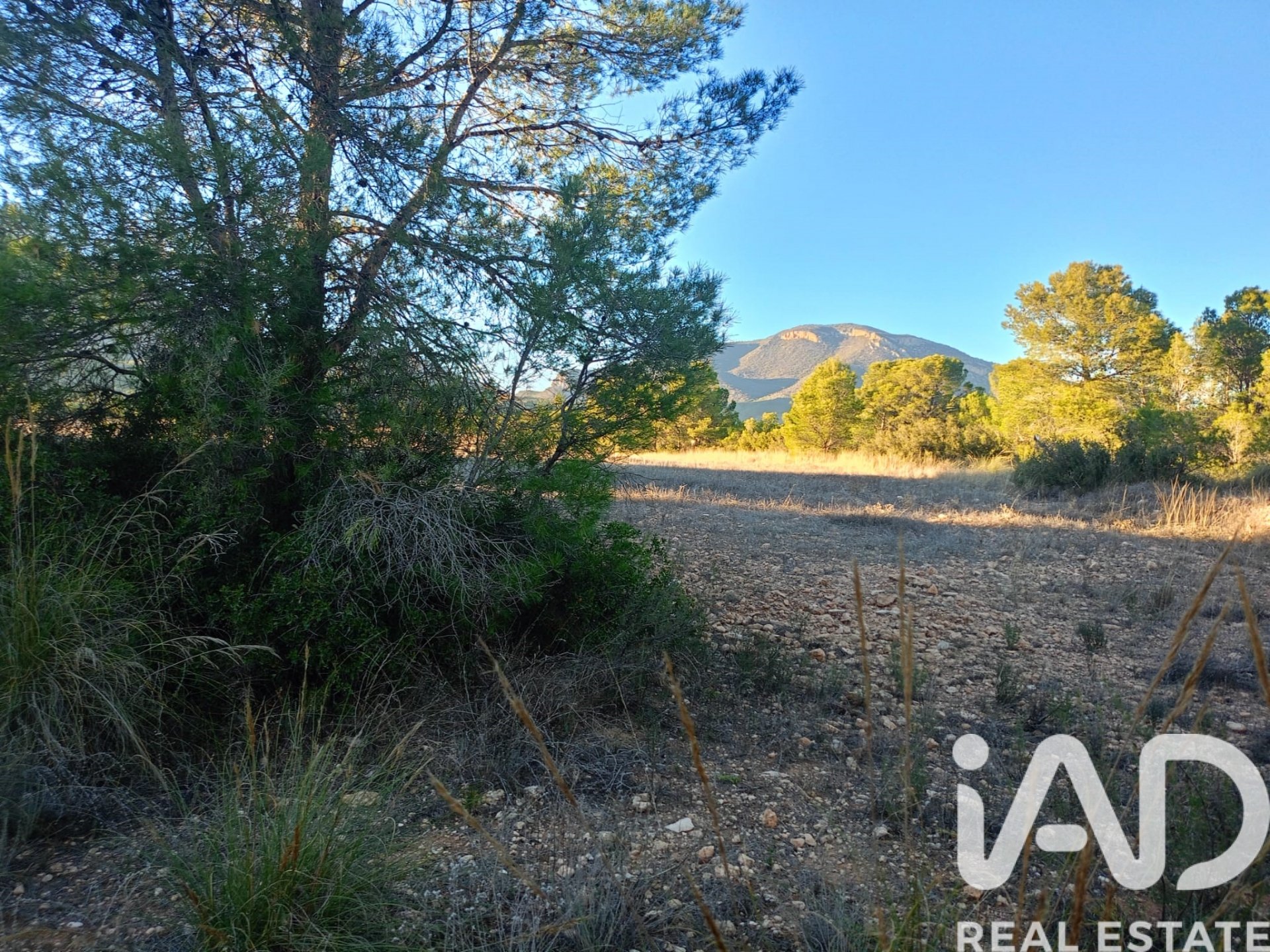 Land plot in Lorca, Murcia, Spain 170000 sq.m. No. 185386