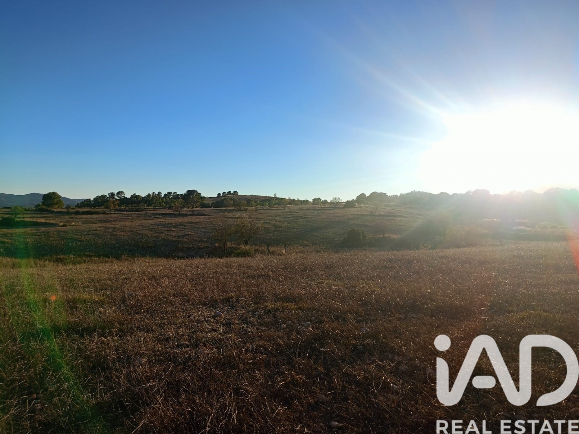 Land plot in Lorca, Murcia, Spain 170000 sq.m. No. 185386