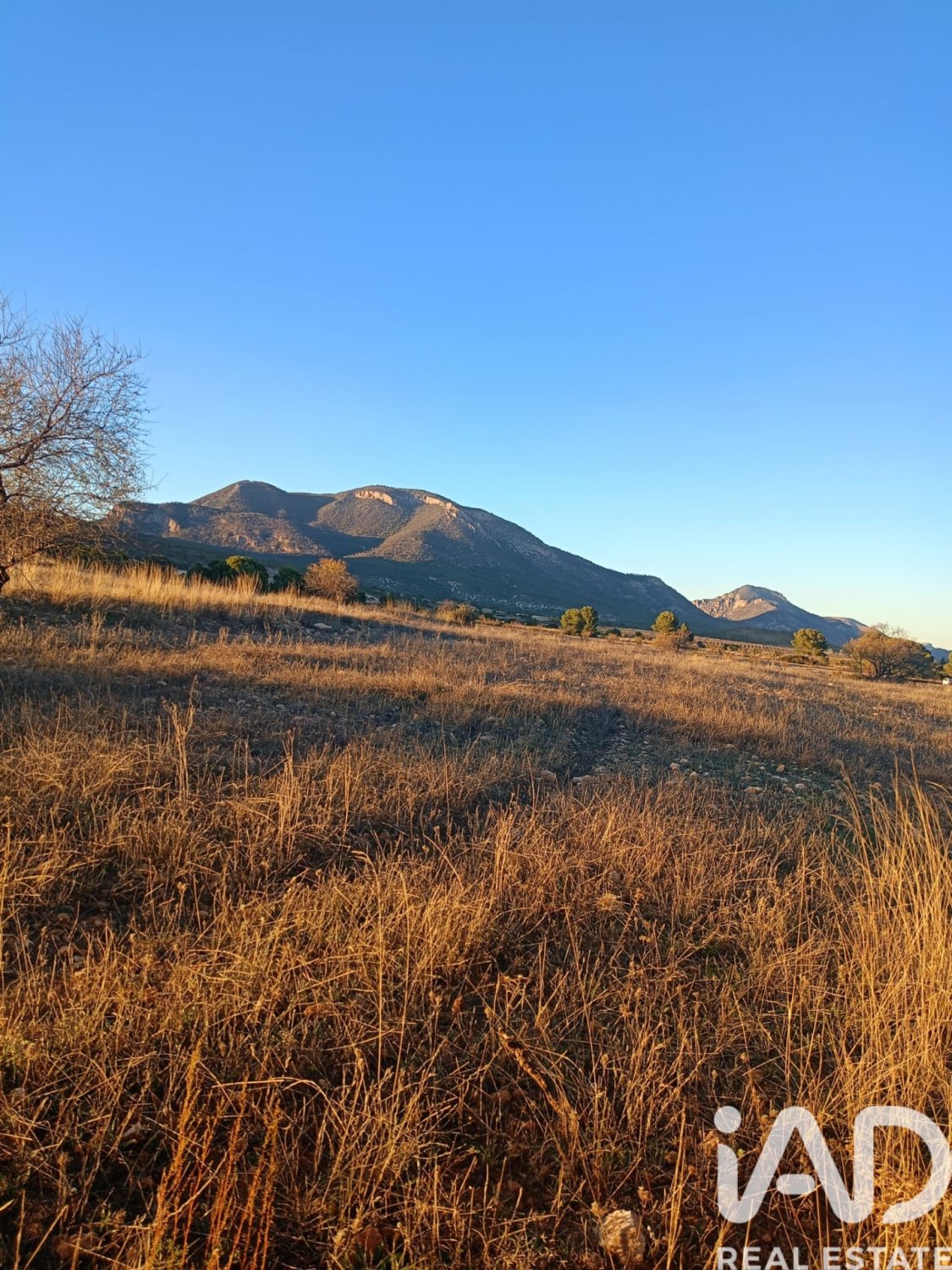 Land plot in Lorca, Murcia, Spain 170000 sq.m. No. 185386