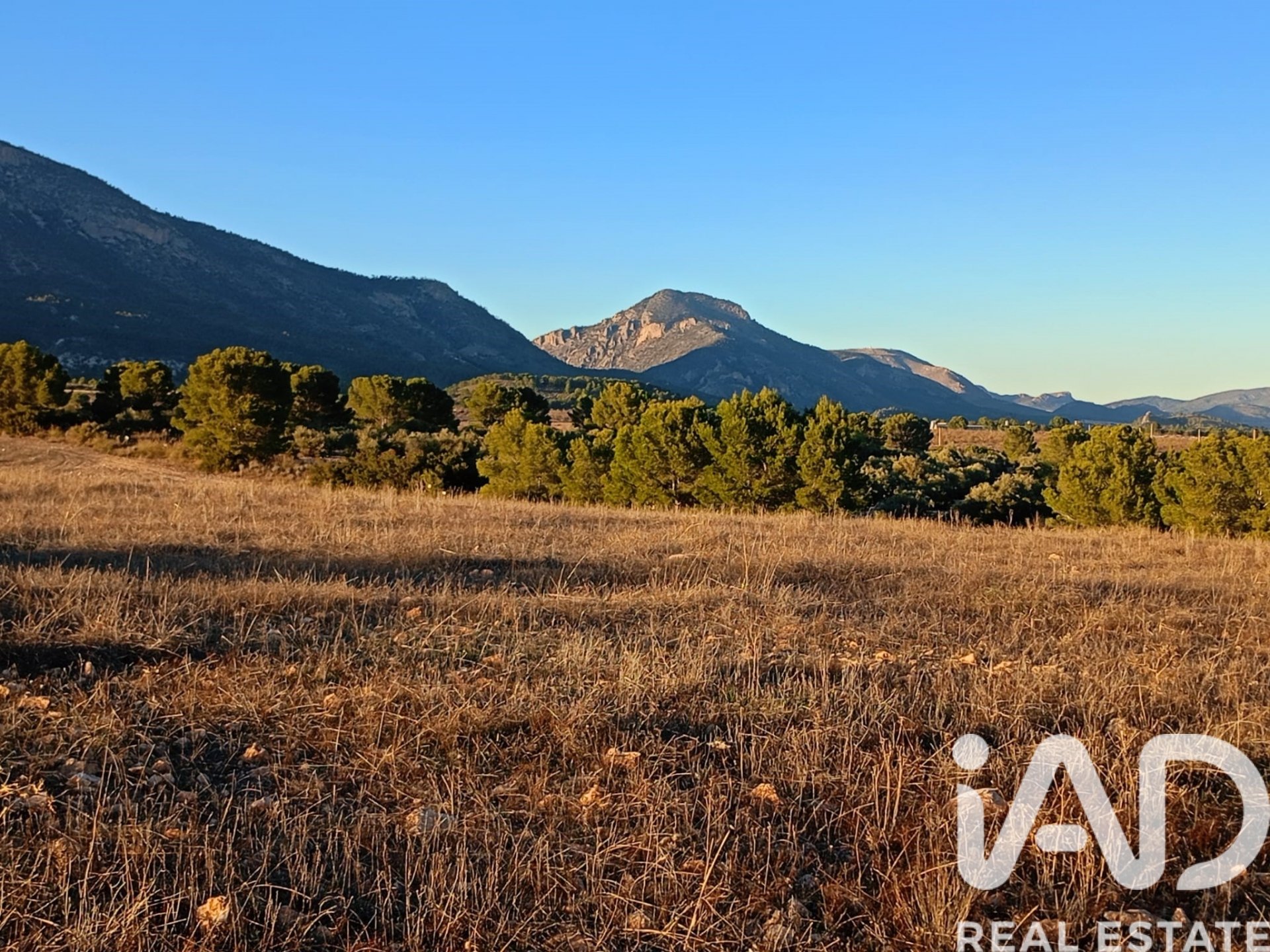 Land plot in Lorca, Murcia, Spain 170000 sq.m. No. 185386