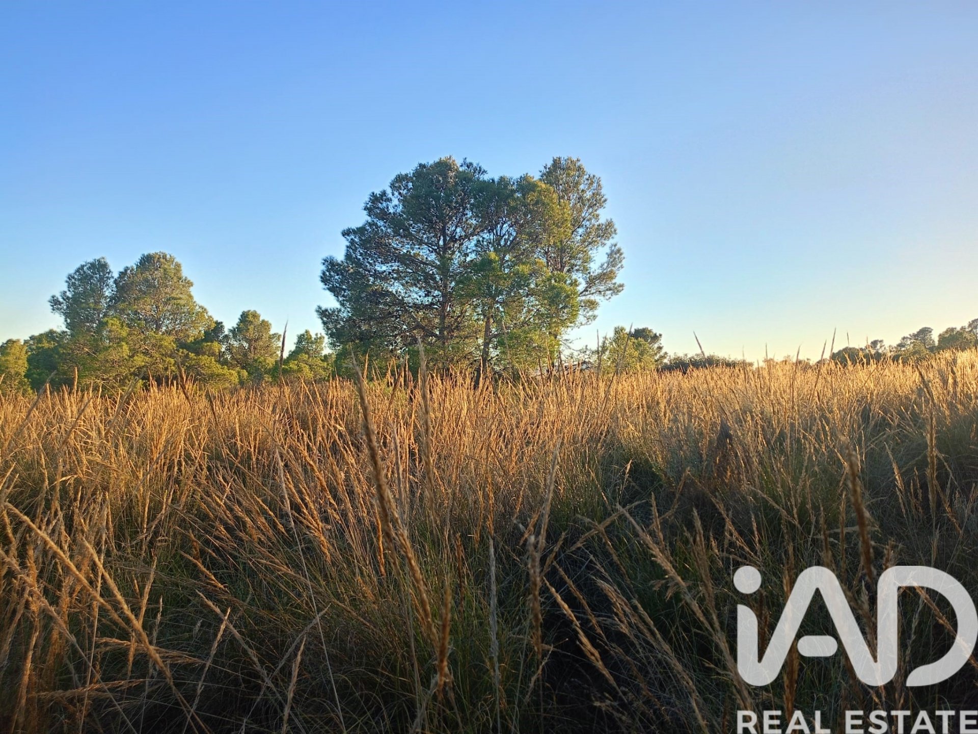 Land plot in Lorca, Murcia, Spain 170000 sq.m. No. 185386