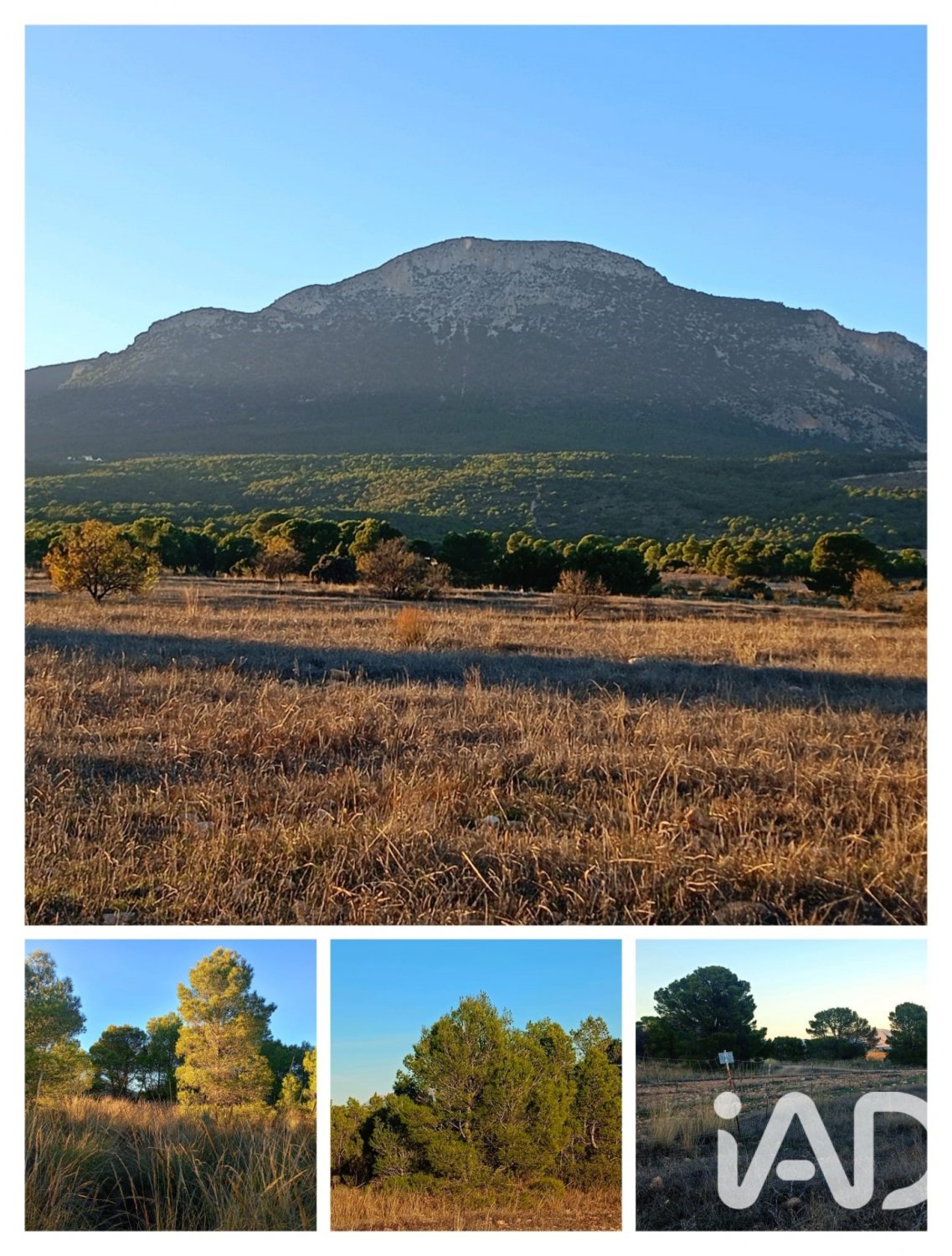 Land plot in Lorca, Murcia, Spain 170000 sq.m. No. 185386