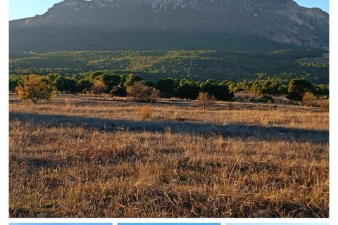 Land plot in Lorca, Murcia, Spain 170000 sq.m. No. 185386