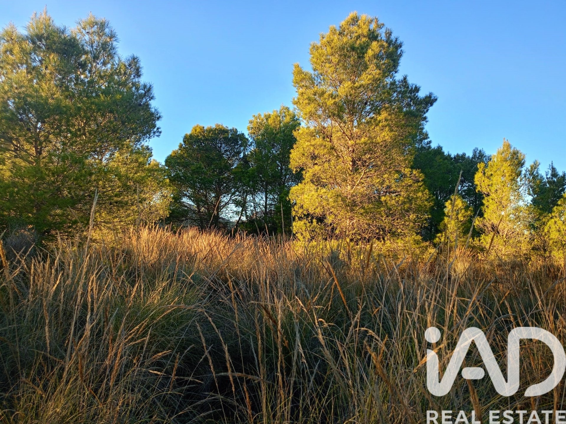 Land plot in Lorca, Murcia, Spain 170000 sq.m. No. 185386