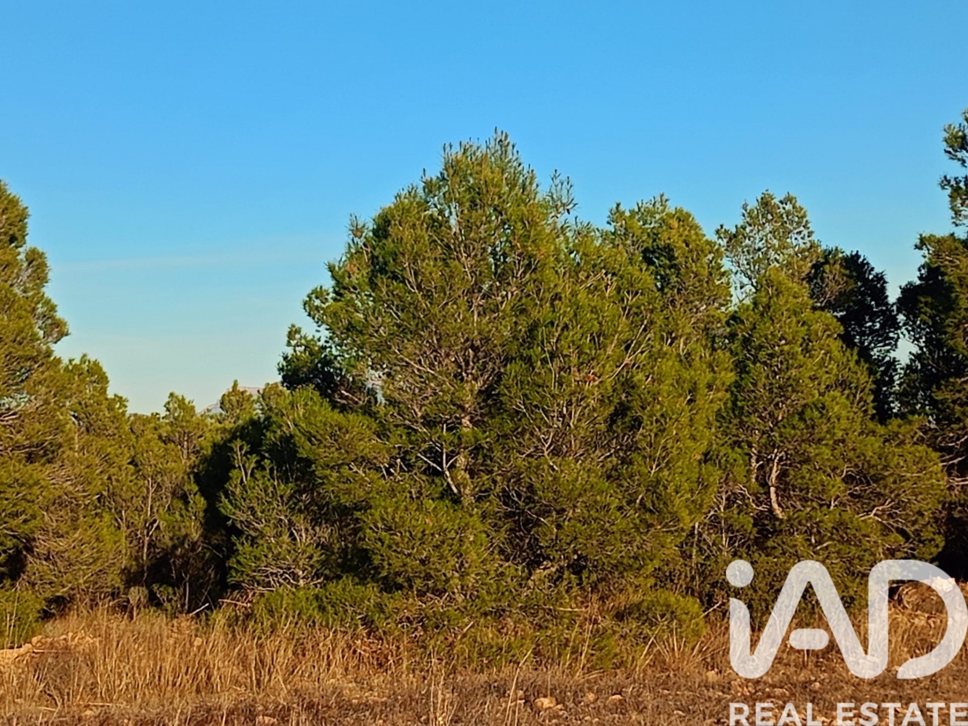 Land plot in Lorca, Murcia, Spain 170000 sq.m. No. 185386