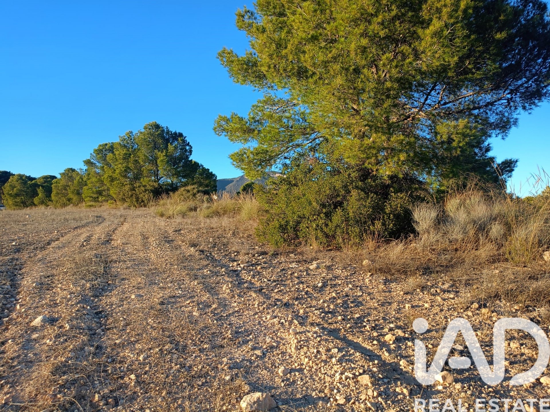 Land plot in Lorca, Murcia, Spain 170000 sq.m. No. 185386