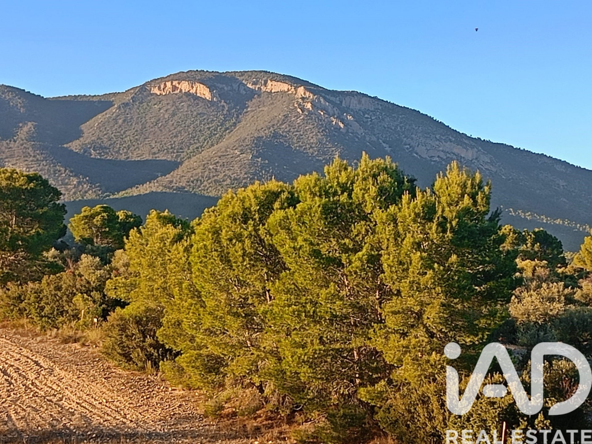 Land plot in Lorca, Murcia, Spain 170000 sq.m. No. 185386