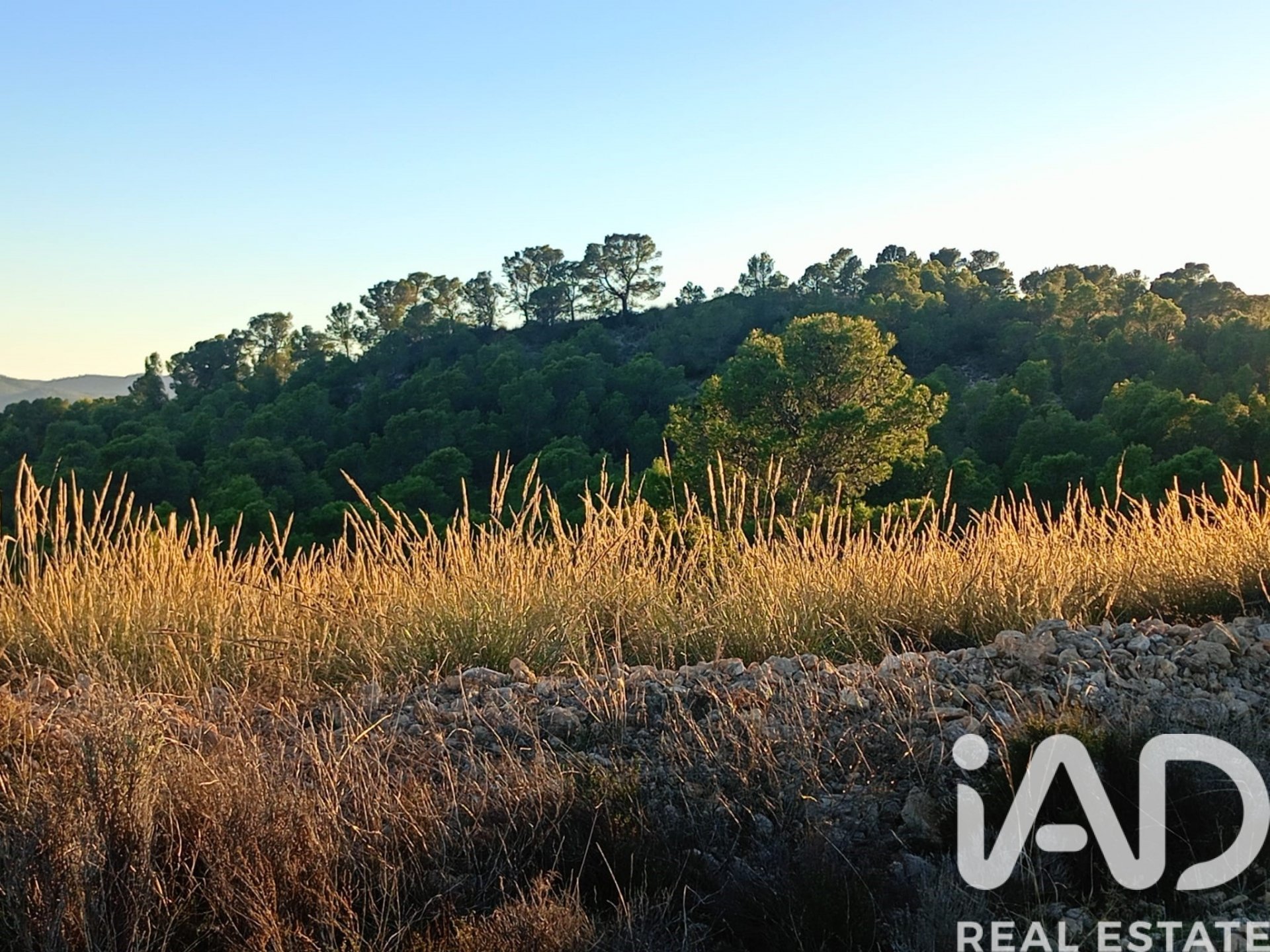 Land plot in Lorca, Murcia, Spain 170000 sq.m. No. 185386