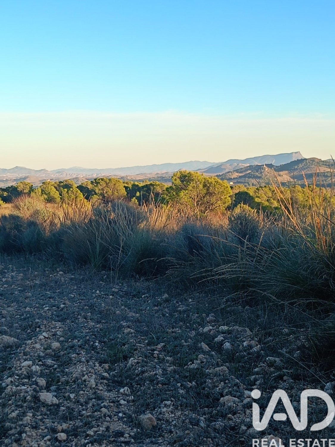 Land plot in Lorca, Murcia, Spain 170000 sq.m. No. 185386