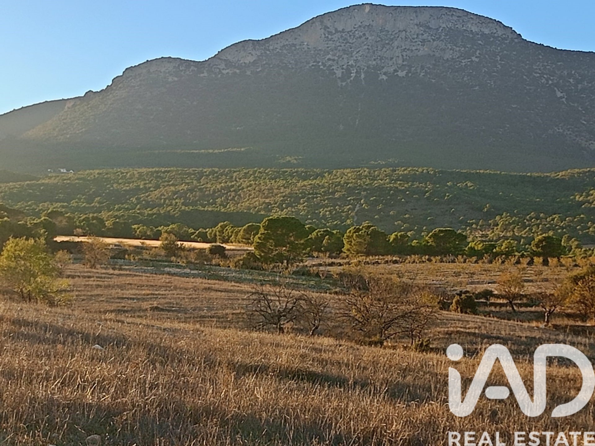Land plot in Lorca, Murcia, Spain 170000 sq.m. No. 185386