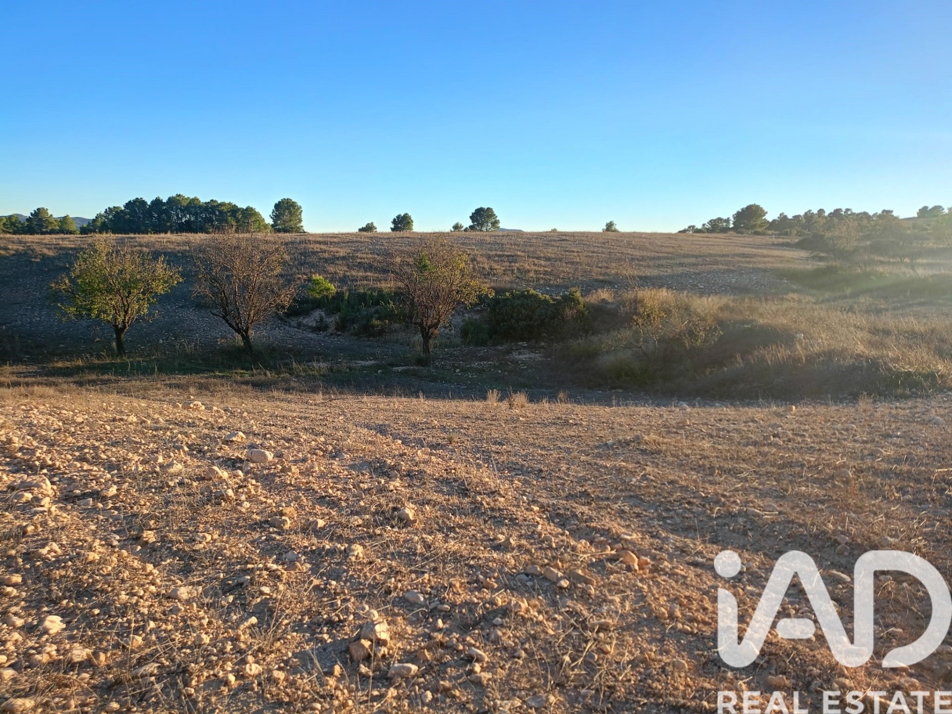 Land plot in Lorca, Murcia, Spain 170000 sq.m. No. 185386