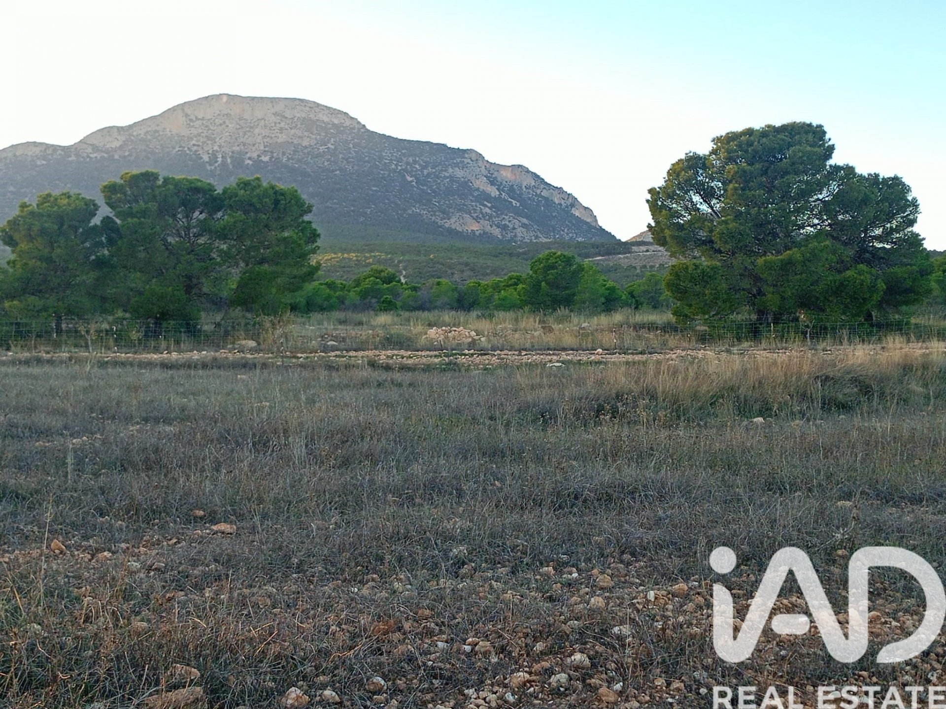 Land plot in Lorca, Murcia, Spain 170000 sq.m. No. 185386