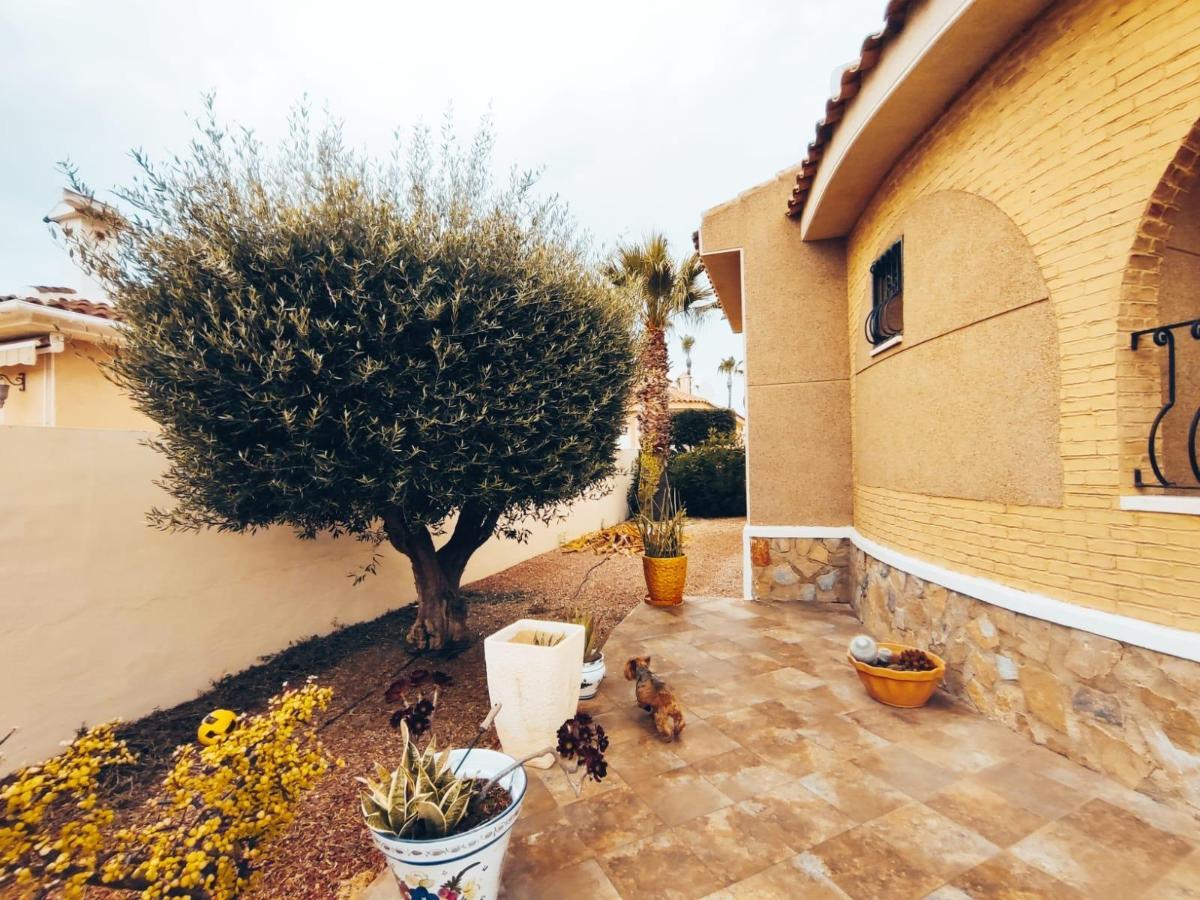 Villa in Benijofar, Alicante, Spanien 3 Schlafzimmer, 147 m2 Nr. 101083