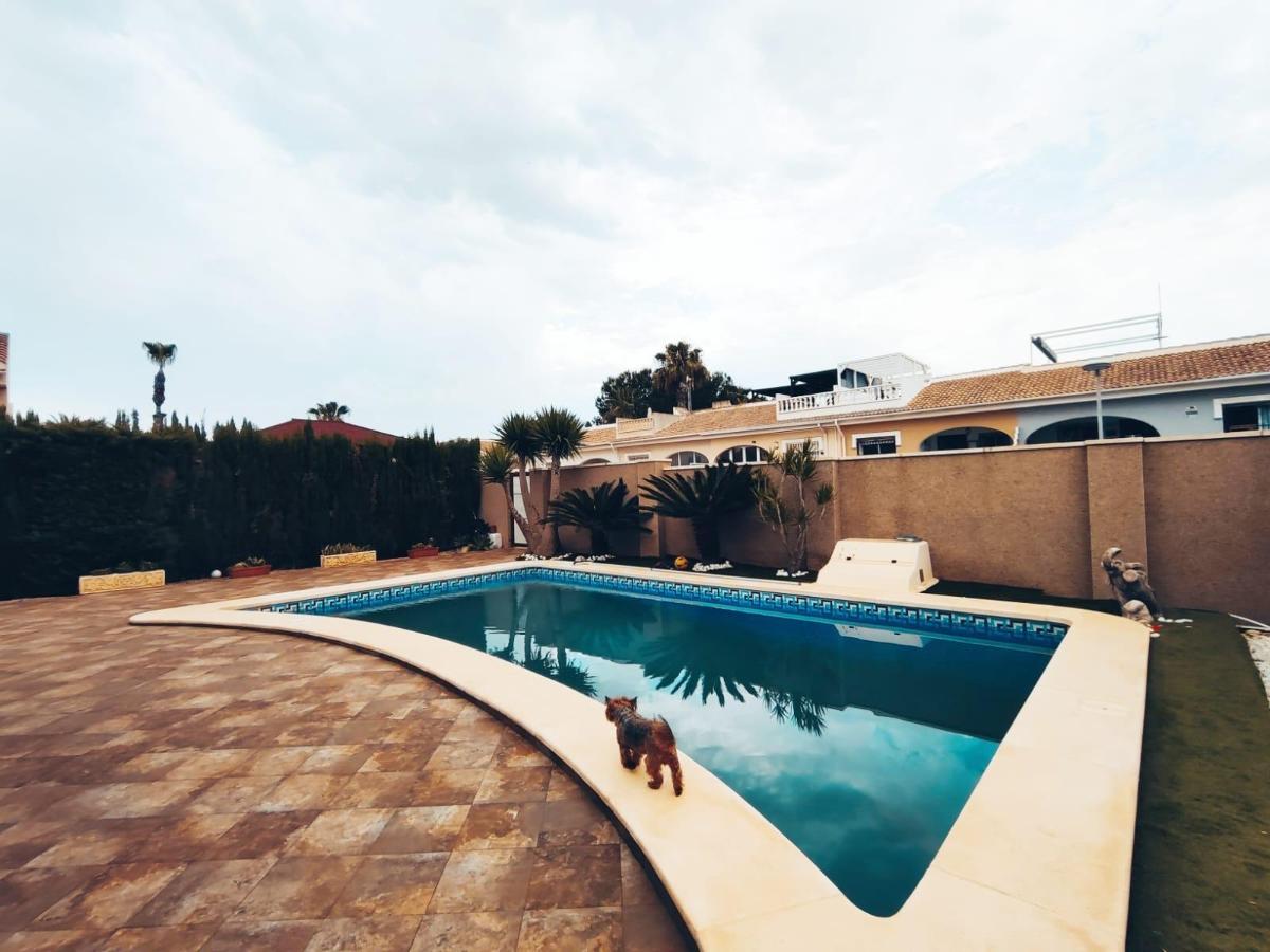Villa in Benijofar, Alicante, Spanien 3 Schlafzimmer, 147 m2 Nr. 101083