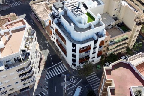 Lägenhet i Torrevieja, Alicante, Spanien 2 sovrum, 75 kvm. Nr. 143661