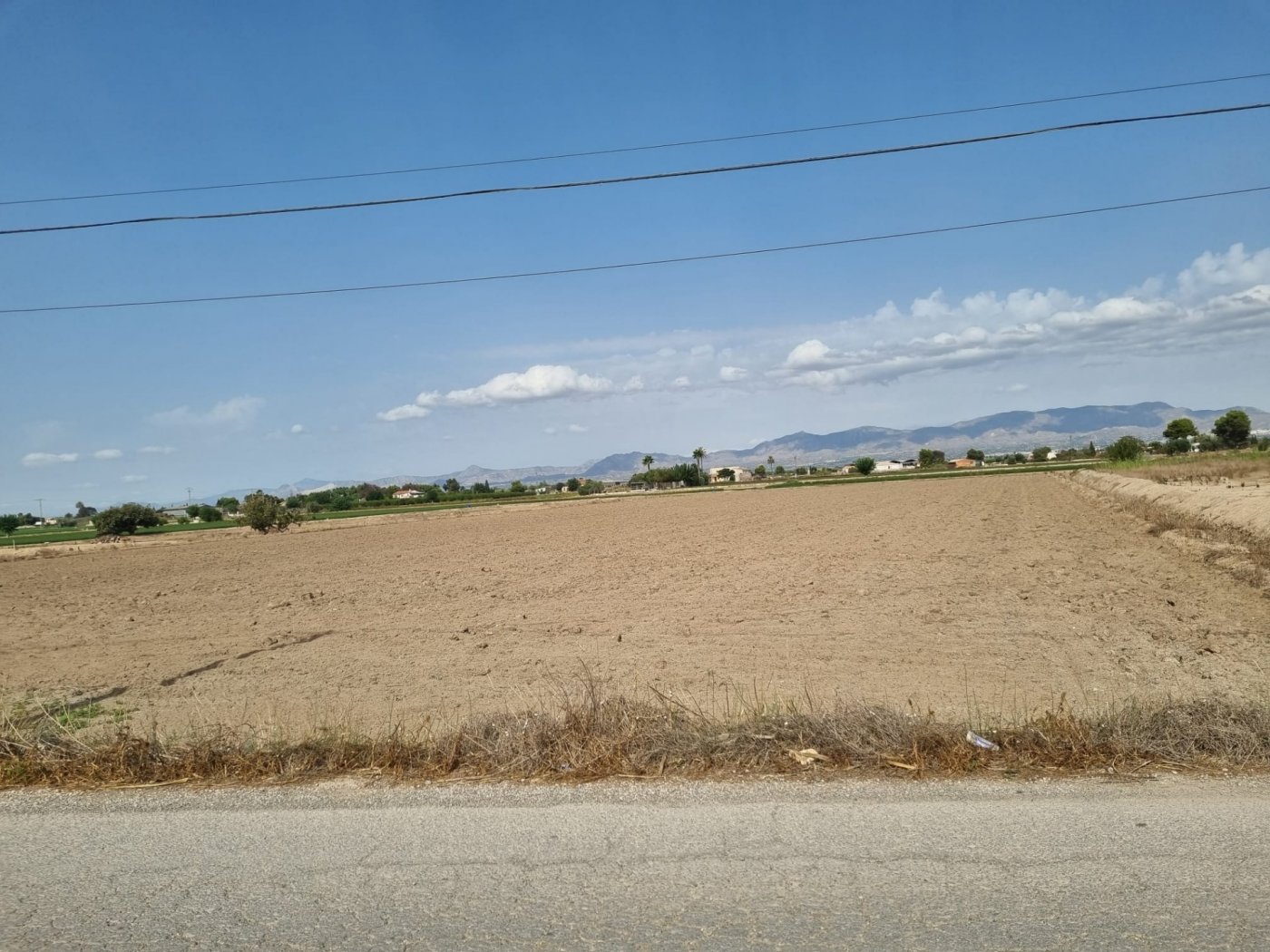 Terreno a Dolores, Alicante, Spagna N° 183610