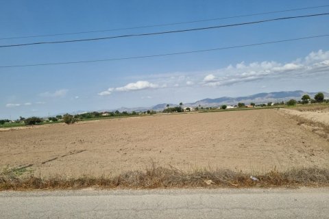 Parcela en Dolores, Alicante, España No. 183610