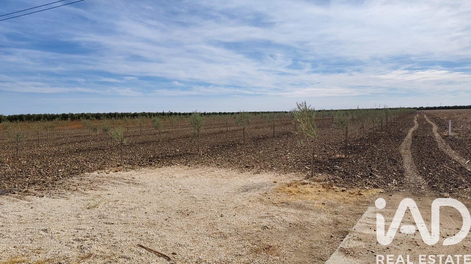 Kommersiell fastighet i Ecija, Seville, Spanien Nr. 152771