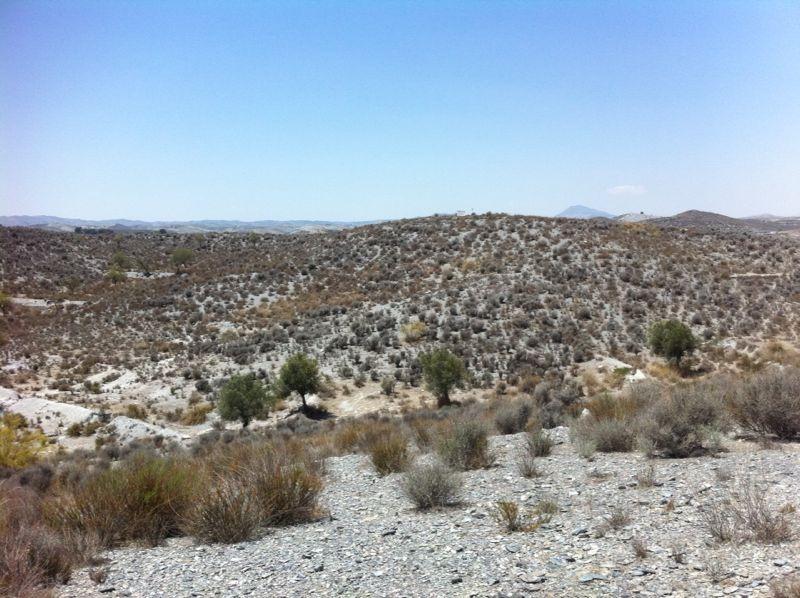 Terreno a Lorca, Murcia, Spagna N° 182862