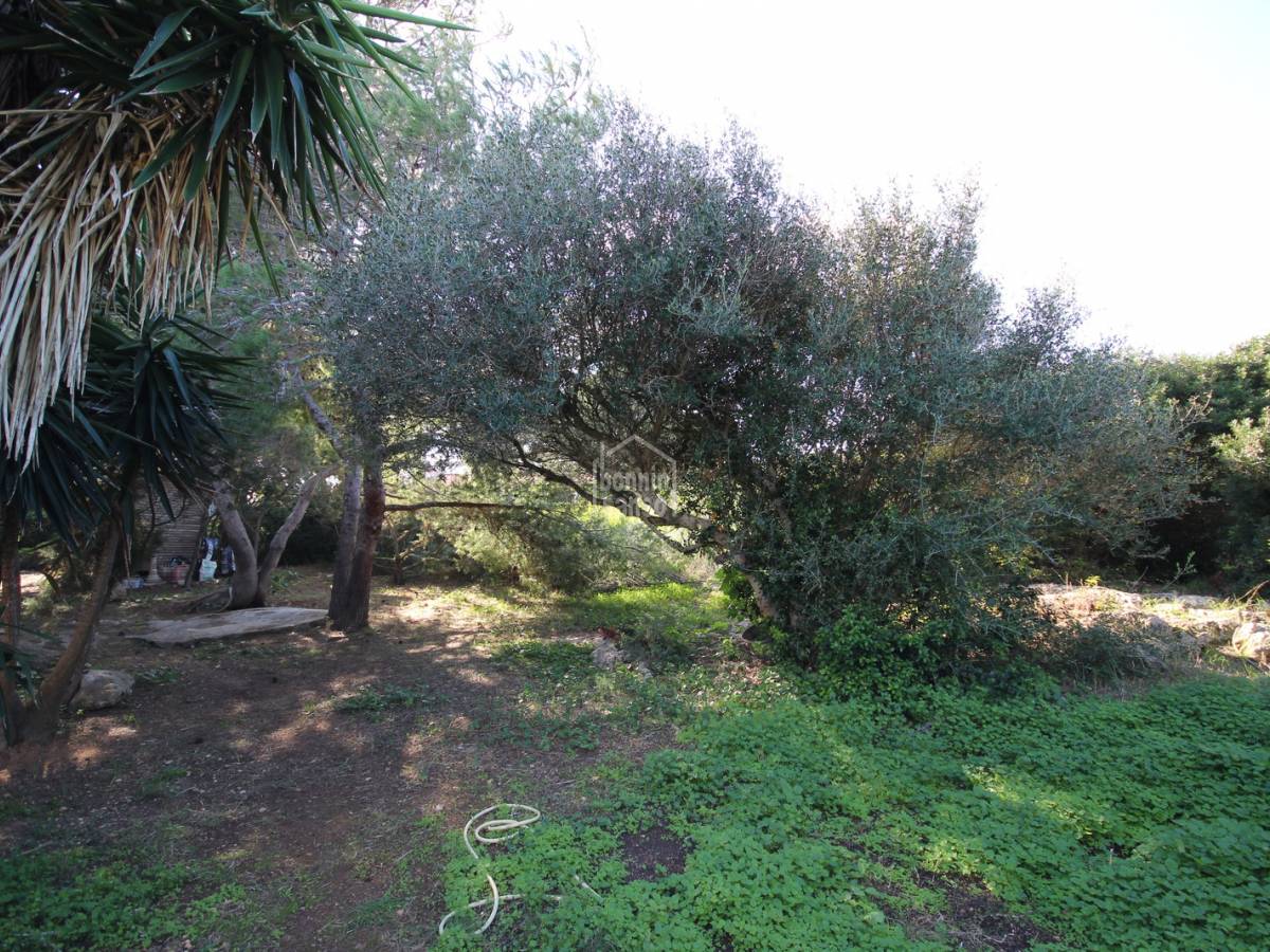 Land plot in Ciutadella De Menorca, Menorca, Spain No. 97514