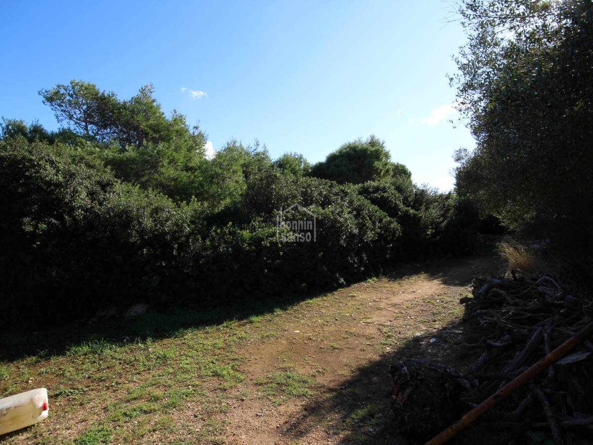 Land plot in Ciutadella De Menorca, Menorca, Spain No. 97514