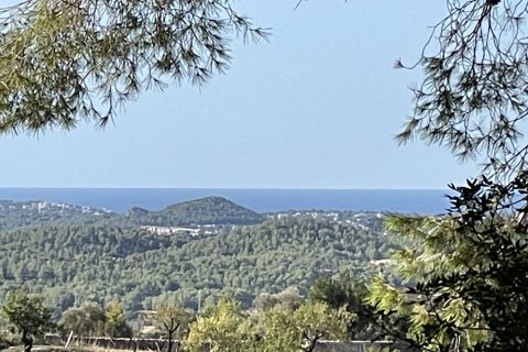 Finca Calvia, Mallorca, Espanja 1 makuuhuone, 60 m2 No. 138612