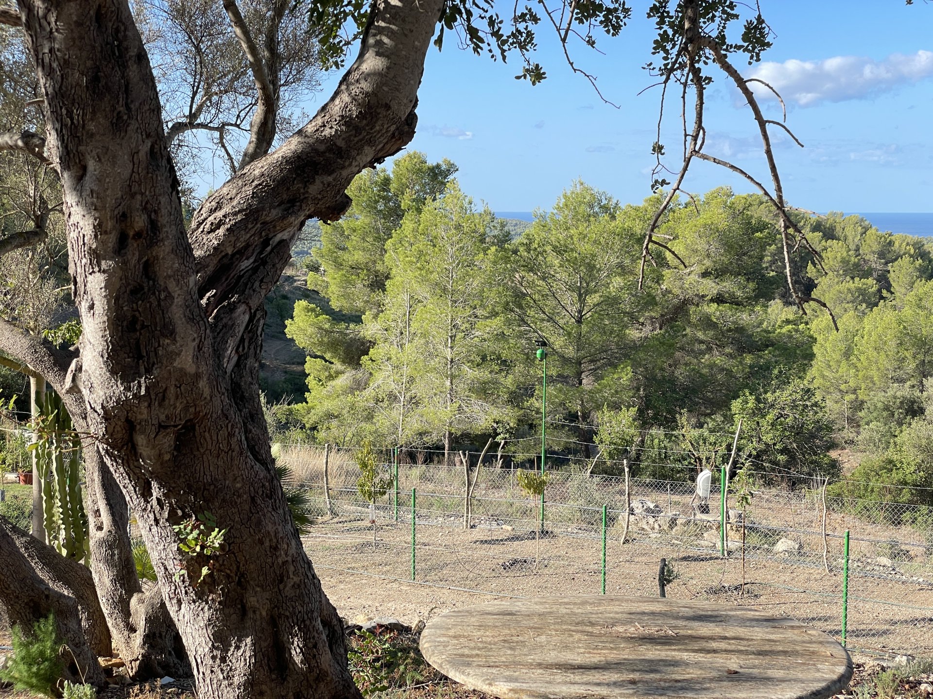Finca in Calvia, Mallorca, Spain 1 bedroom, 60 sq.m. No. 138612