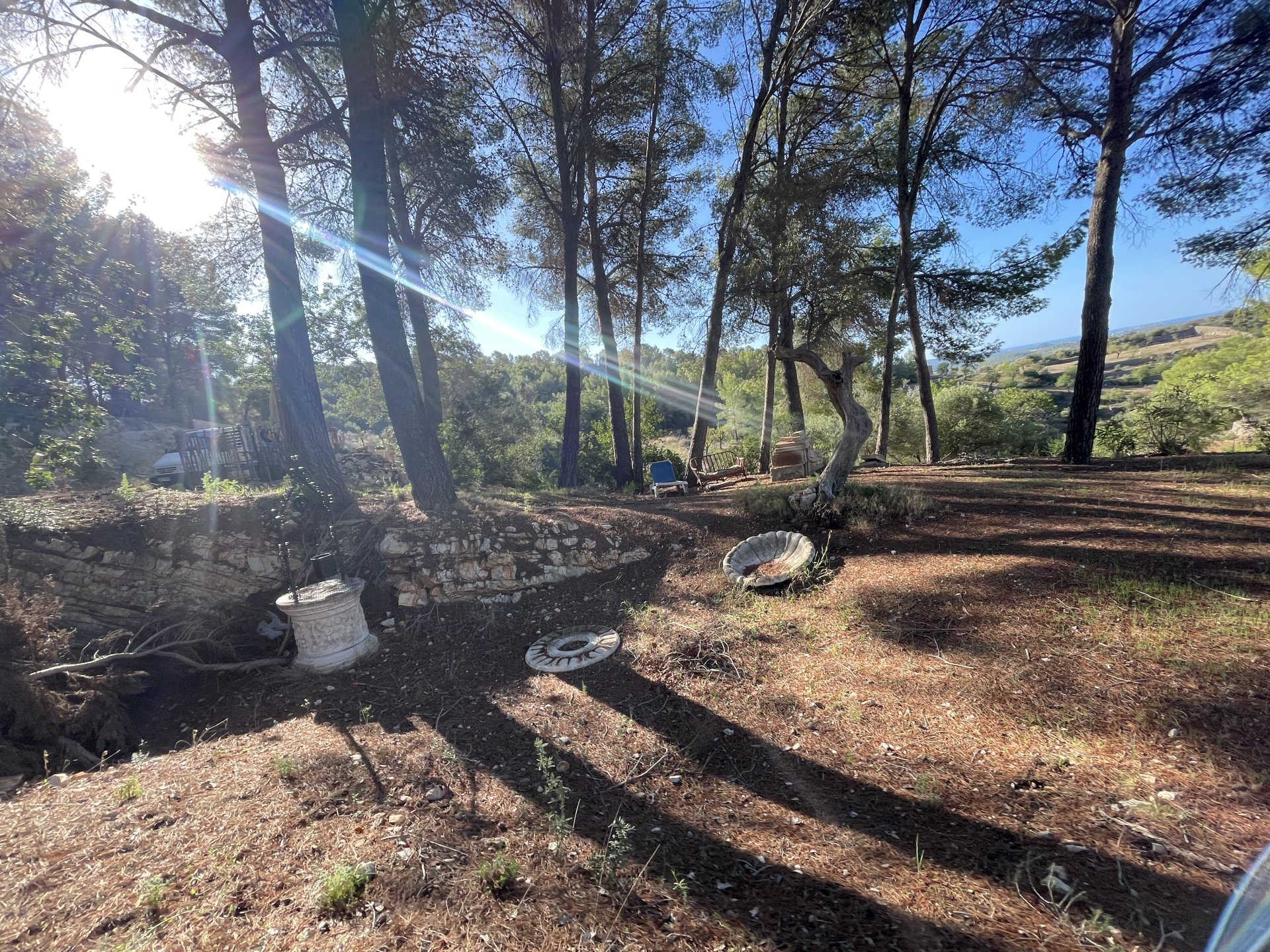 Finca in Calvia, Mallorca, Spain 1 bedroom, 60 sq.m. No. 138612